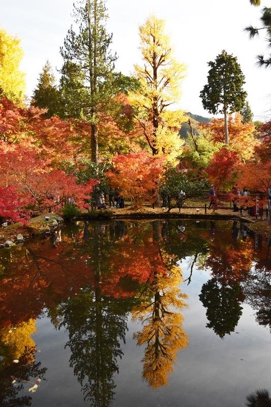 🍁 소기 공원(소기 코엔) 이미지 5